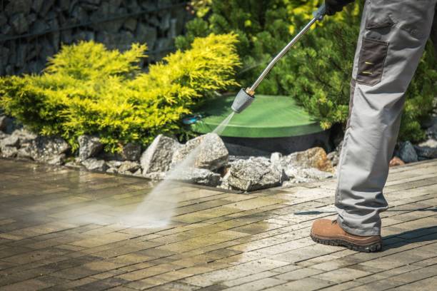 Best Dumpster Area Cleaning  in Indian Head Park, IL