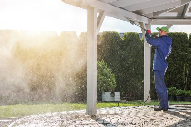 Best Sidewalk and Walkway Cleaning  in Indian Head Park, IL