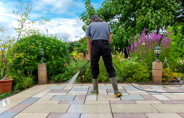 Best Pool Deck Cleaning  in Indian Head Park, IL