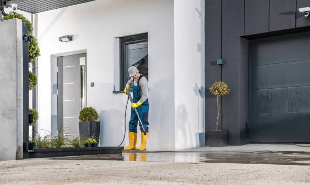 Best Animal Enclosure Cleaning  in Indian Head Park, IL